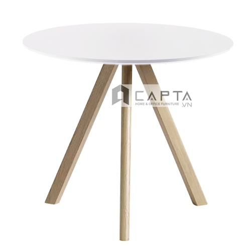 Nội thất CAPTA