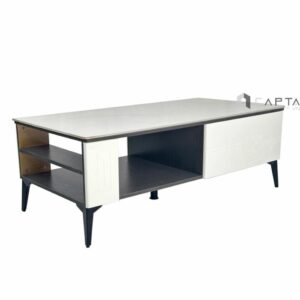 Ban-phong-khach-mat-da-ts1005-12e