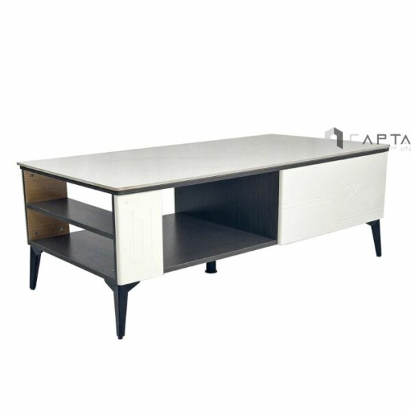 Ban-phong-khach-mat-da-ts1005-12e