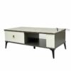 Ban-sofa-mat-da-nhap-khau-ts1006-12e
