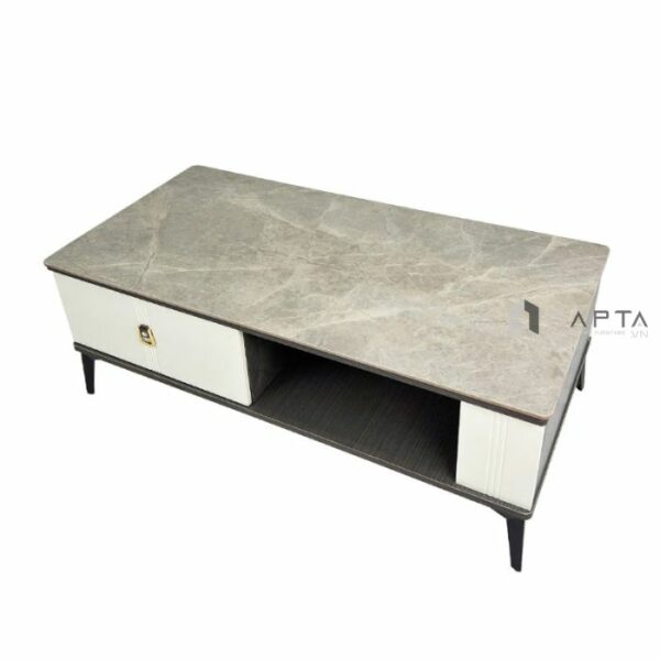 Ban-sofa-mat-da-phong-khach-2-hoc-tu-ts1006-12e