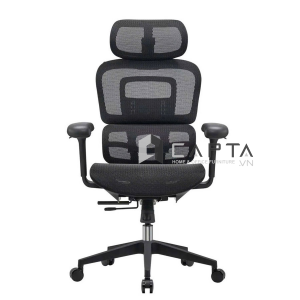 Ghe-cong-thai-hoc-lung-luoi-co-tua-dau-cm06002